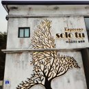 솔로투(solotu)