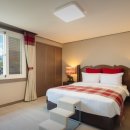 스위트펫 이미지