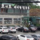오대칼국수 이미지