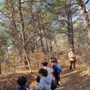 안성자연유치원 이미지