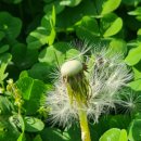 낙원농장4 이미지