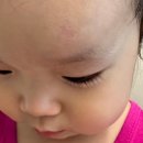 베이비하우스 은평 이미지