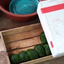 고흥재래시장 이미지