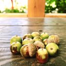 광릉충전소 이미지