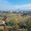 매성중학교 이미지