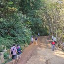 계족산황톳길 이미지