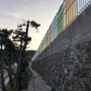 추자초등학교신양분교장 | 추자도 숙박 - 방안에서 일출을 볼 수 있는 이레민박