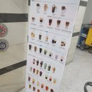 진영의료기 | 개복 맹장수술 후기..