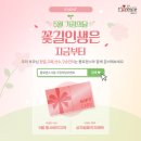 플로렌스 이미지