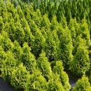 태림농장 이미지