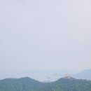 미륵산농장 이미지