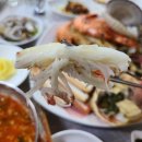 독도회센타 이미지