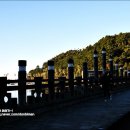 천지연로 이미지