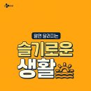 슬기로운 생활 이미지