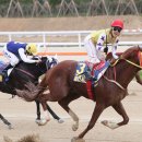 환호축산 이미지