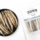 좋은강아지 이미지