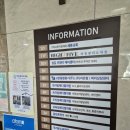 손톱붓
