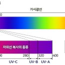 오렌지안경 이미지