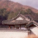 고백당 Daum카페