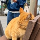 일흥옥2 이미지