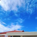 제주 드 루앙 이미지