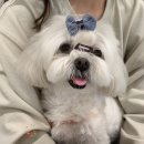 햇살작업실미술교습소