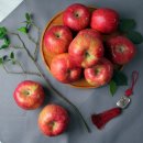 금계농원 | [풍기금계농원] 부사 보관용 사과, 직접 먹어보니 느낀 솔직 후기