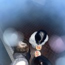 합숙 후 부산마라톤 대회🏃🏻🏃🏻‍♂️🏃🏻‍♀️ 이미지