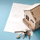 옵션(OPTION) 이미지