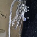 서울대스크린골프연습장 이미지