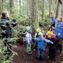 숲속의 아일랜드유치원 이미지