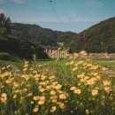 인제관광정보센터 이미지