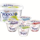 빙그레(일동) 이미지