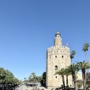 비둘기공원 화장실 | 9박10일] 세비야 3일차 마지막날, 세비야 스페인 광장 마리아 루이사 공원 하루 코스 완벽 정리, 꿀팁 포함