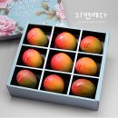 프리미엄 인터내셔널 이미지