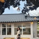 1주일에 하나씩 일상 글 올리기 루틴 만들어보기 ✨🍬💓