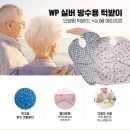 웹피북