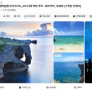 북부대로 | 오키나와 북부 버스투어 츄라우미수족관 입장료 예약 후기