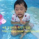 세자매민박 이미지