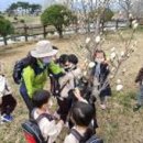 병영초등학교병설유치원 이미지
