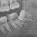 박경수치과의원 이미지