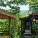 농월초계탕 이미지