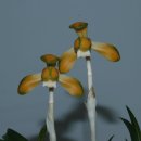 자산동244 이미지