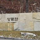 강원흑염소 이미지