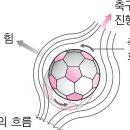 차사랑 1004 이미지