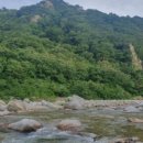 수봉야영장 이미지