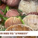 상객해물포차