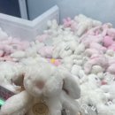 토끼게임장 이미지