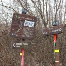 디엠지스테이 이미지