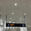 장춘빌라 앞 | [교환일기] 7월, 마카오/홍콩여행